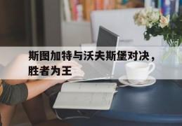 包含斯图加特与沃夫斯堡对决，胜者为王的词条