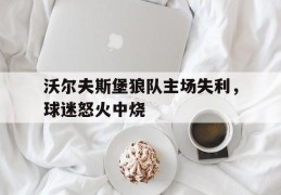 包含沃尔夫斯堡狼队主场失利，球迷怒火中烧的词条