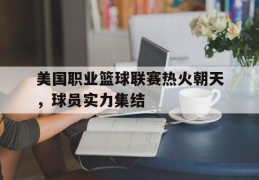 关于美国职业篮球联赛热火朝天，球员实力集结的信息