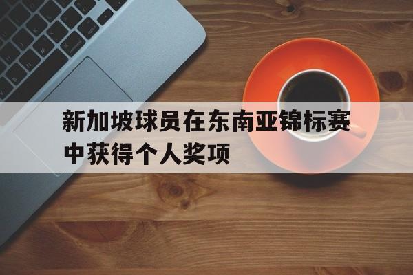 新加坡球员在东南亚锦标赛中获得个人奖项