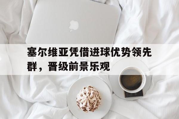 塞尔维亚凭借进球优势领先群，晋级前景乐观的简单介绍